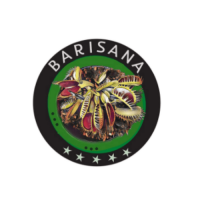 logo barisana