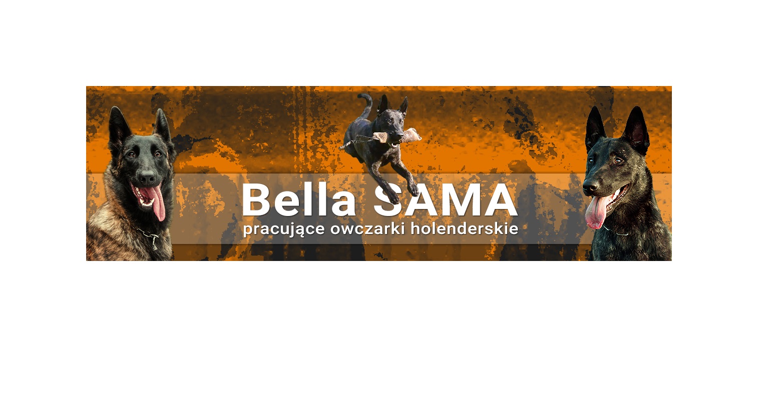 Bella SAMA